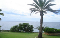 Punta Aguila Oceanfront