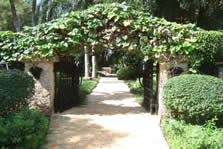Punta Aguila 9