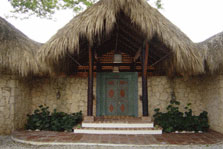Tamarindo 6