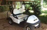 Villa Golf Cart