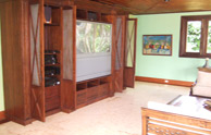 Entertainment Room