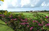 Dye Fore Golf Course 1
