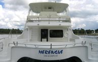 Catamaran Rental Transom