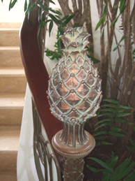 Casa de Campo Las Pinas 8