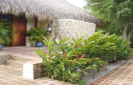 Rear outdoor view