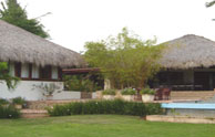 Thatched Roof
