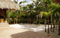 Outdoor Patio