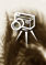 Photo Gallery