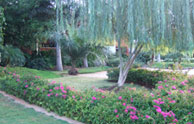 Casa de Campo - Las Pinas7
