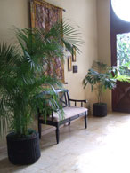 Casa de Campo Foyer