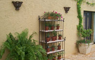 Plant Rack 2