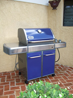 Weber Gas Grill